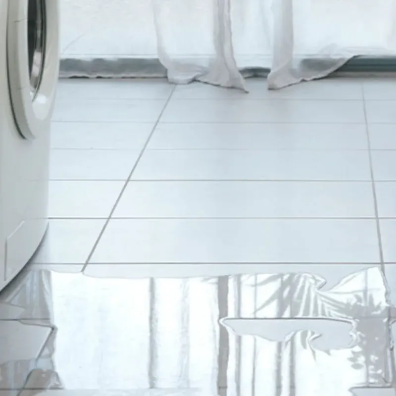 Appliance Leak Cleanup in Brent, FL