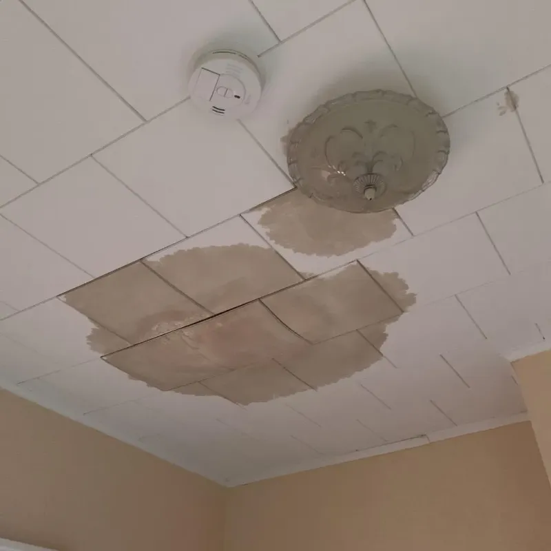 Ceiling Water Damage Repair in Brent, FL