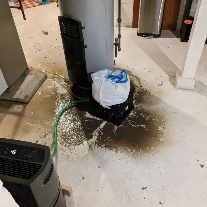 Sewage Backup Cleanup Service in Brent, FL